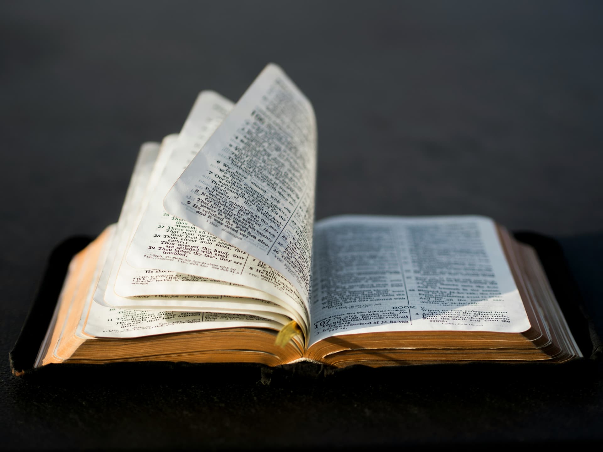 Image of bible, open.